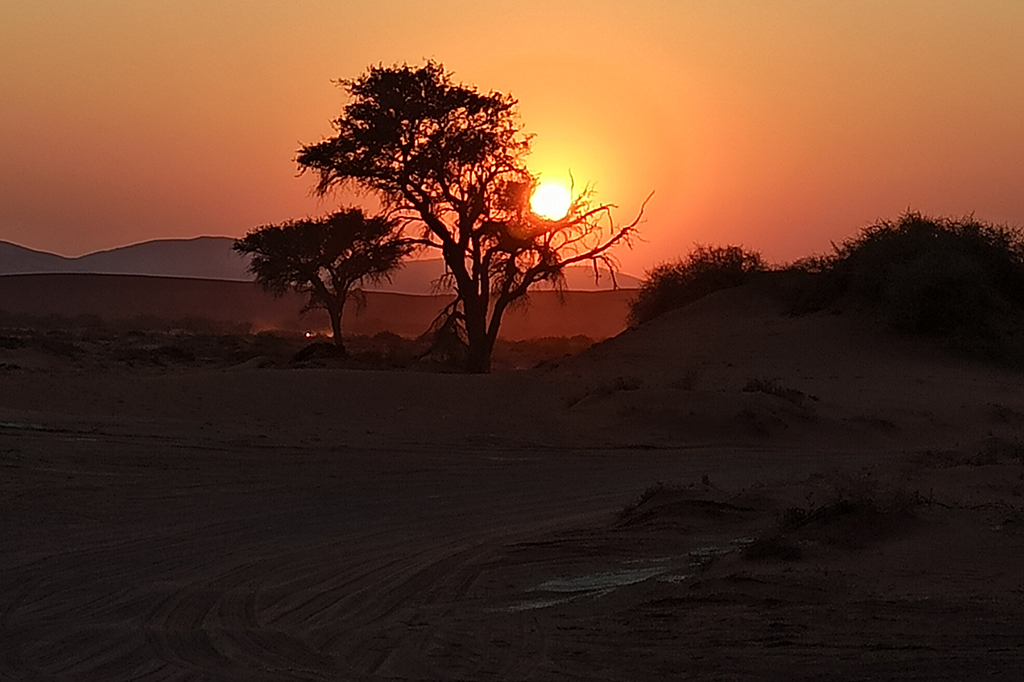 Viaje África
